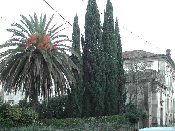 Palácio dos Condes de Anadia, constituído pelo palácio, jardins, quinta e mata anexa