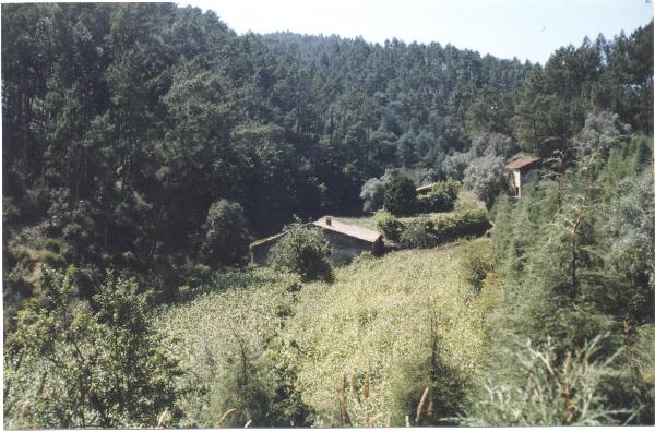 Conjunto arquitectónico constituído por um lagar de azeite, duas azenhas, uma casa de tipologia rural e um forno da cal