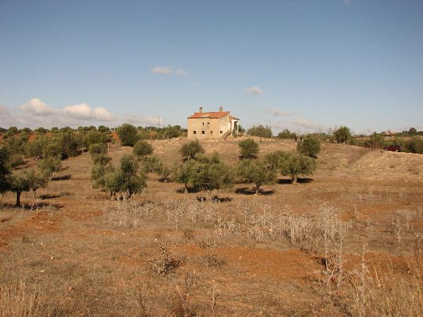 Monte da Tumba