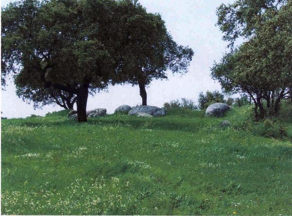 Cromeleque dos Cuncos