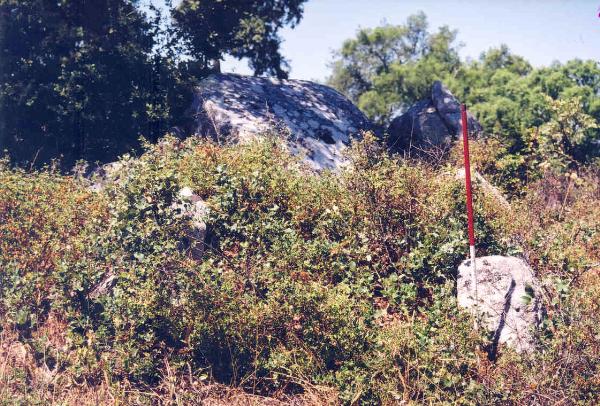 Anta da Herdade da Murteira