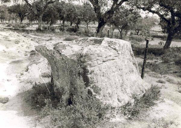 Ruínas romanas de São João do Campo