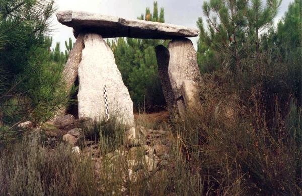 Anta ou orca de Cortiçô