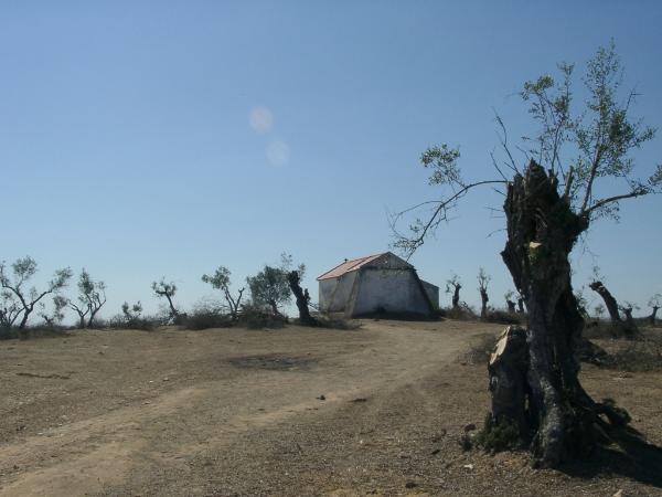 Ermida de Santo António dos Olivais