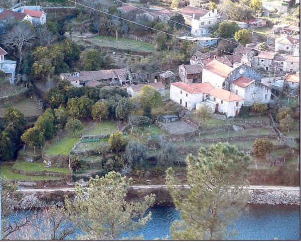 Mosteiro de Ermelo (restos da igreja e da abadia cisterciense)