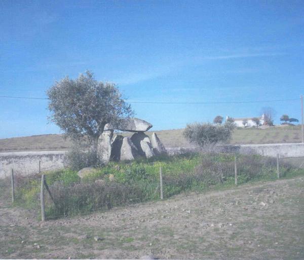 Anta da Vidigueira