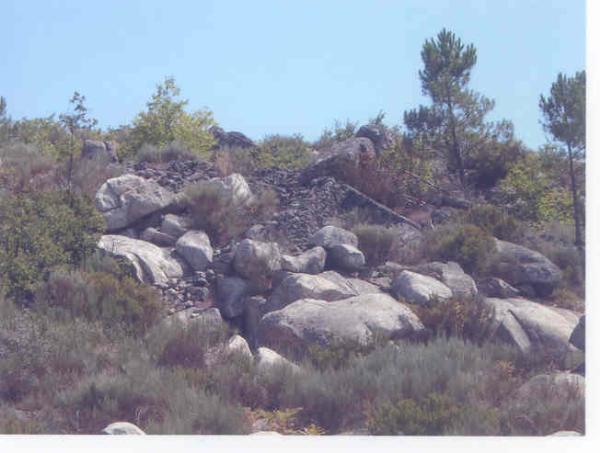 Castro de Goujoim