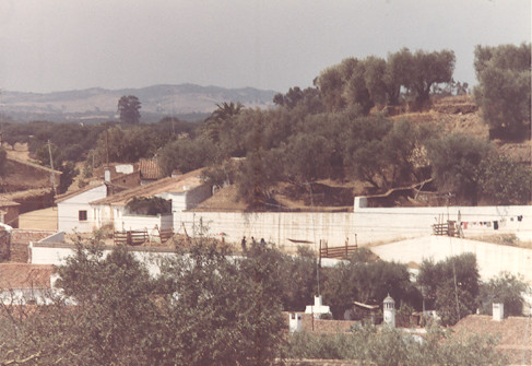 Cerro do Castelo ou Forte de Garvão