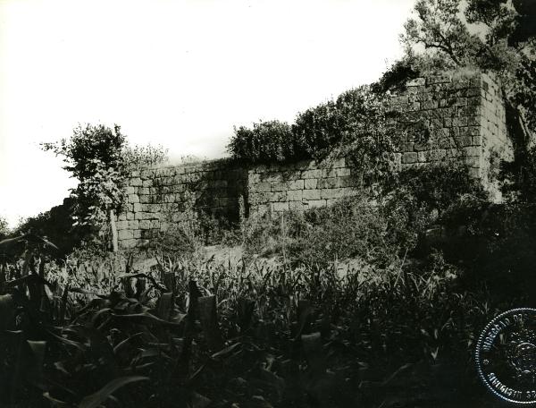 Ruínas da torre e honra de Vasconcelos