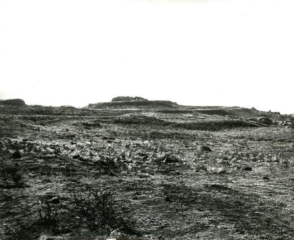 Castro de Barbudo