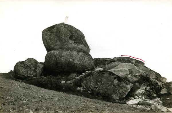 Torre de D. Chama