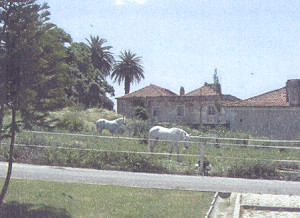 Quinta de Santo António