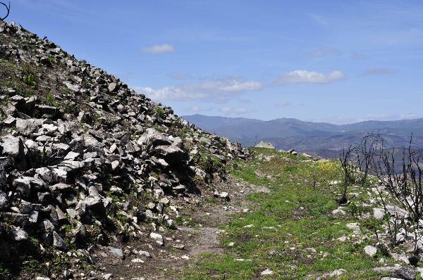 Castro da Argemela