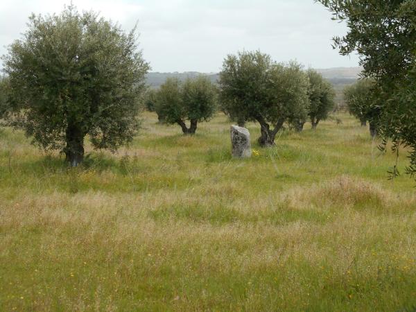 Núcleo de seis menires, na Herdade dos Perdigões