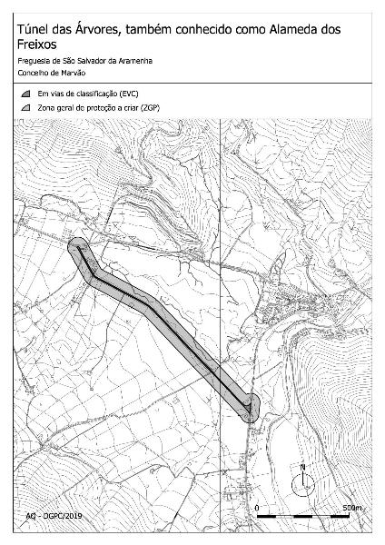 Túnel das Árvores