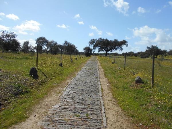 Menir da Abelhoa
