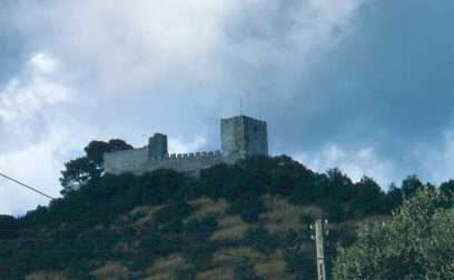 Ruínas do Castelo de Alcanede