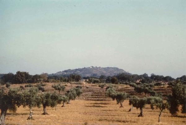 Estação Arqueológica do Monte de São Martinho