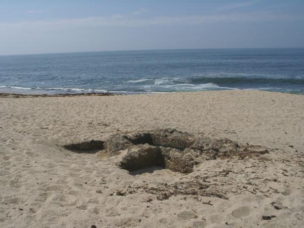 Conjunto de tanques cavados nos rochedos da Praia de Angeiras