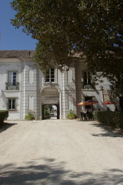 Quinta e Palácio de Nossa Senhora da Piedade, incluindo todos os elementos que se encontram intramuros e a igreja