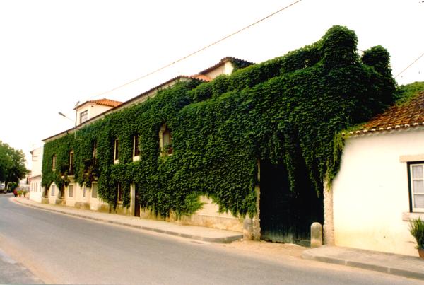 Casa da Azinhaga