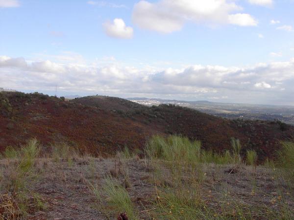 Castro dos Ratinhos