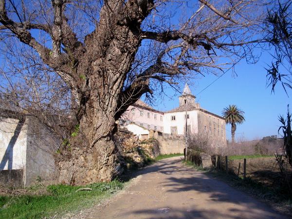 Quinta do Bulhaco (parte da primitiva quinta), incluindo a Casa Grande, os pátios, as dependências agrícolas, a azenha, a casa de fresco, o Casal do Pereiro, o sistema hidráulico e terrenos agrícolas e silvículas
